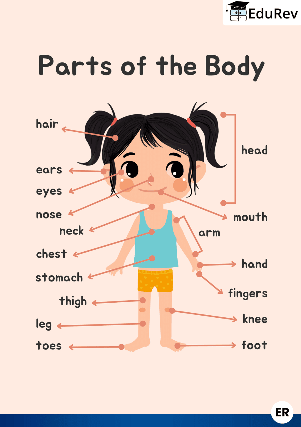 Printable Poster: Parts of the Body- Girls | EVS for Class 1