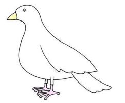 Colourful Birds | GK for UKG