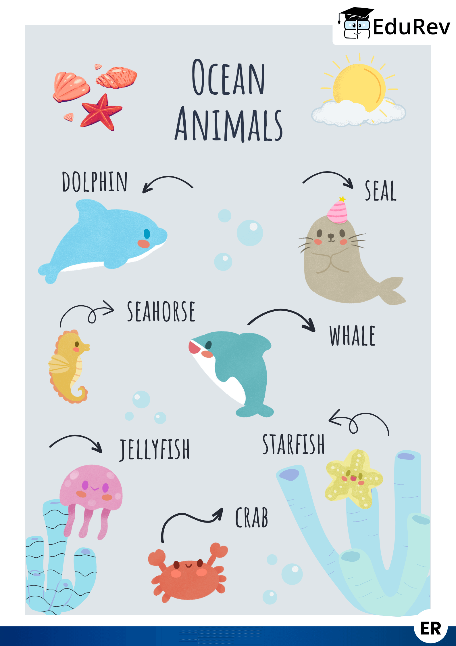 Let`s Learn: Ocean Animals | EVS for LKG