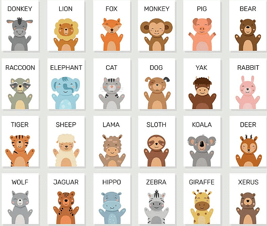 Get to Know Animals- Wild and Domestic | EVS for LKG