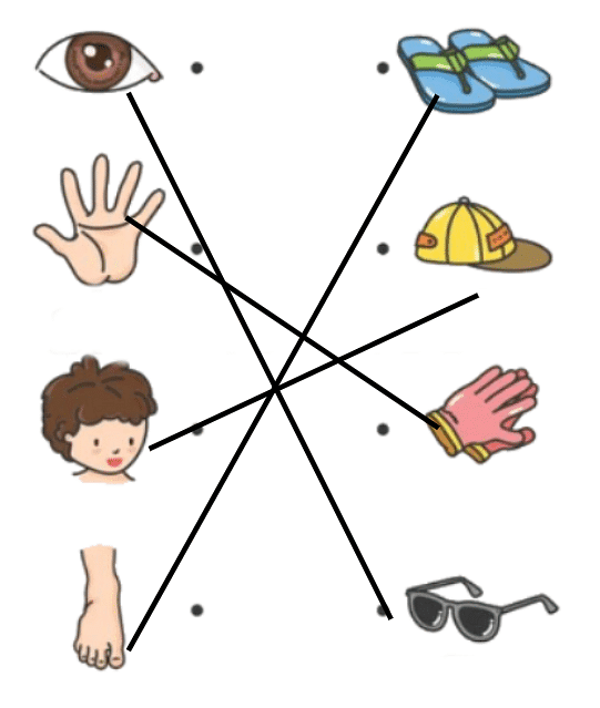 Q2: Match the Picture of Body Parts with the Things We Use for That Body Part: