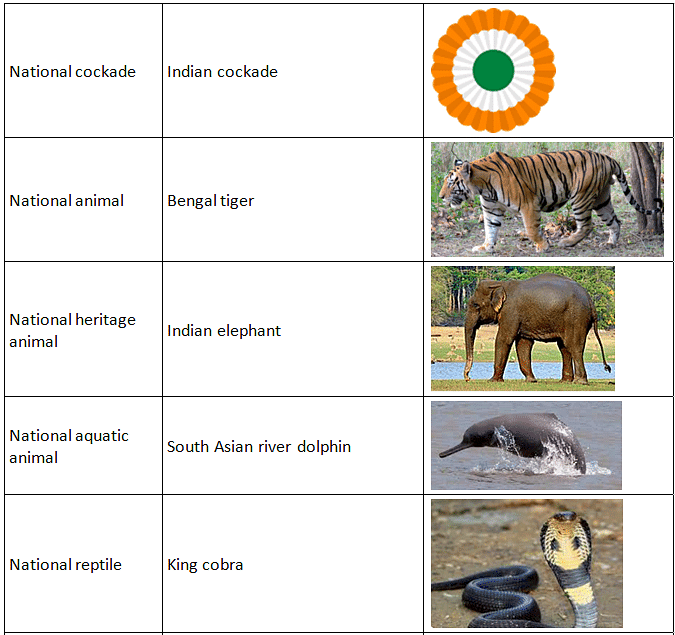 Our National Symbols | GK for UKG