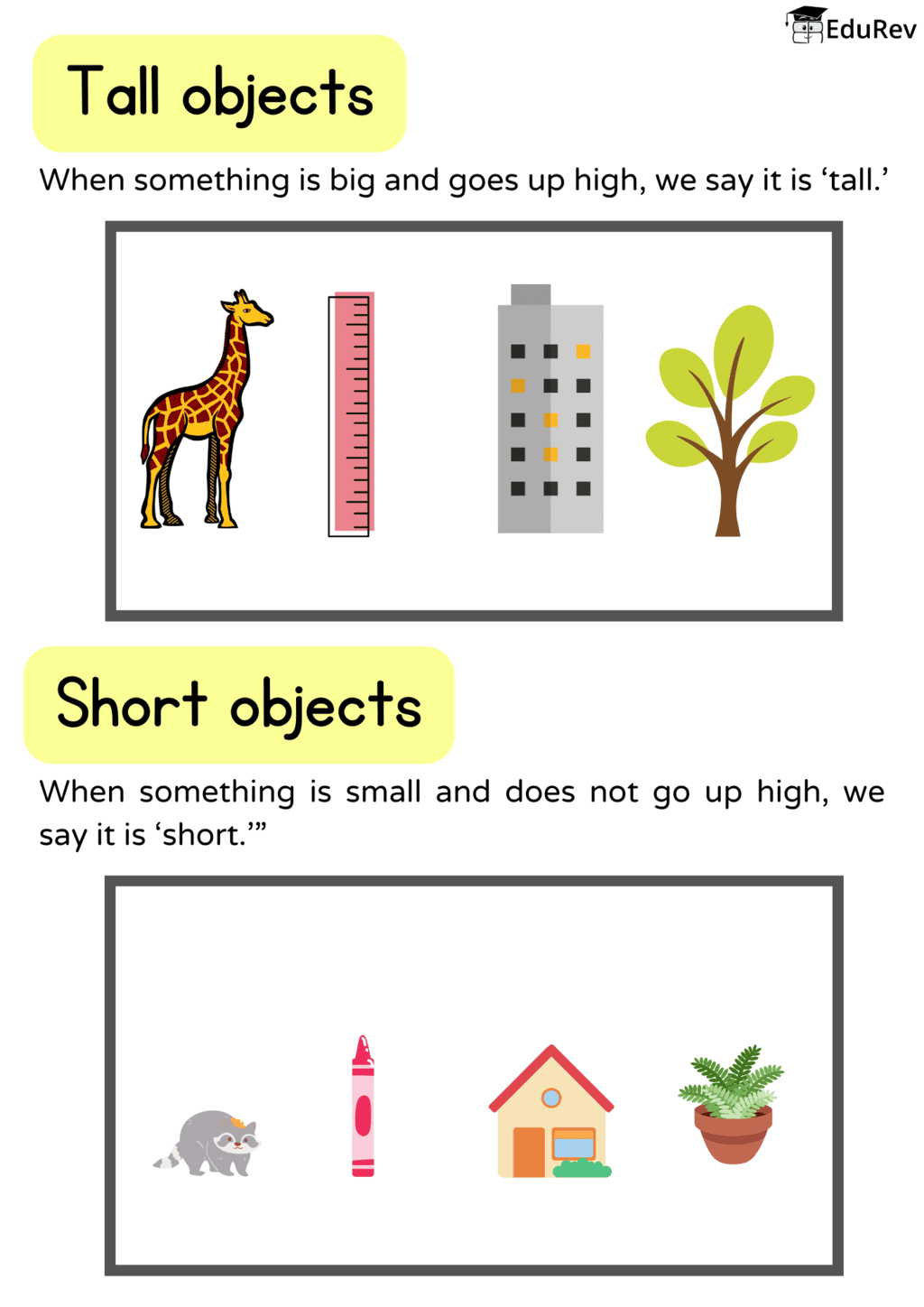 Printable Poster: Tall and Short | Maths for LKG