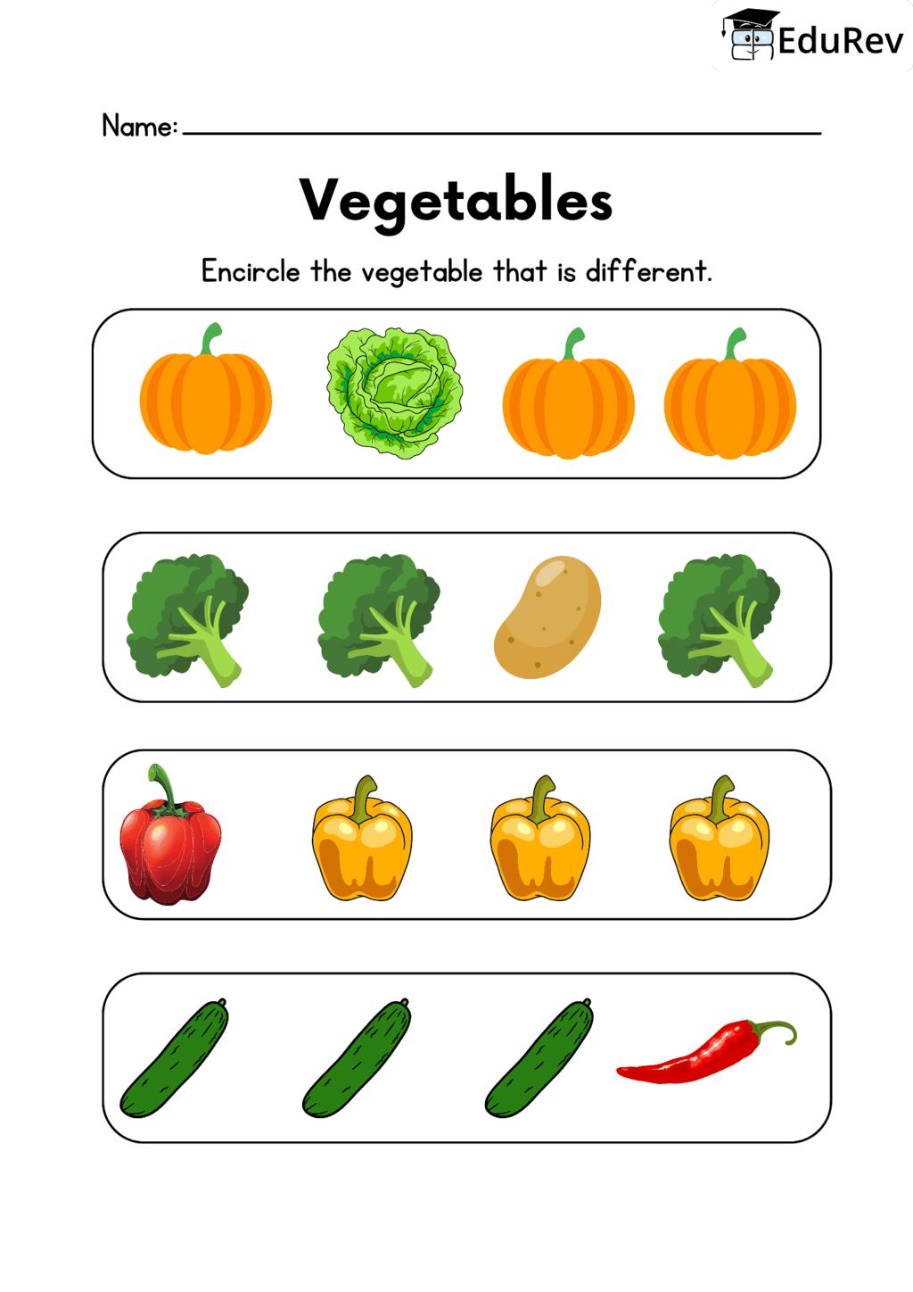 Visual Worksheets - Circle Different Vegetables | EVS for LKG