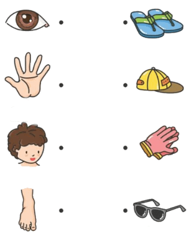 Q2: Match the Picture of Body Parts with the Things We Use for That Body Part: