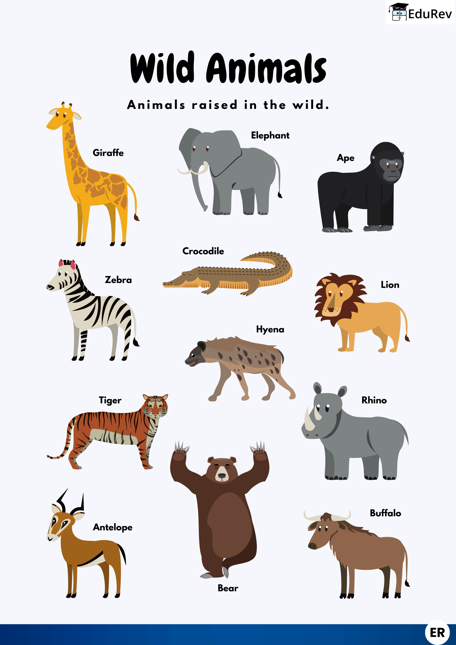 Printable Poster: Wild Animals | EVS for LKG