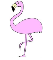 Colourful Birds | GK for UKG