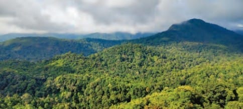 4. Engage Through Civil Society Organisations (NGOs)