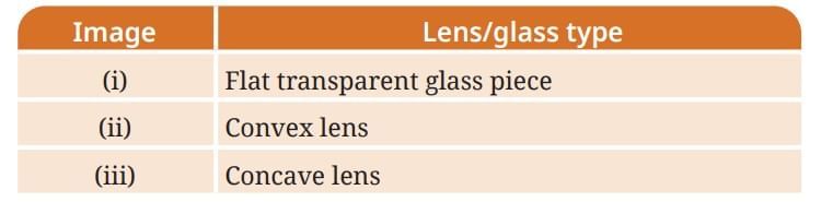 Light: Mirrors and Lenses NCERT Solutions | Science Curiosity Class 8 -  New NCERT
