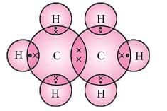 Carbon Compounds Chapter Notes | Earth and Environmental Science for Year 12