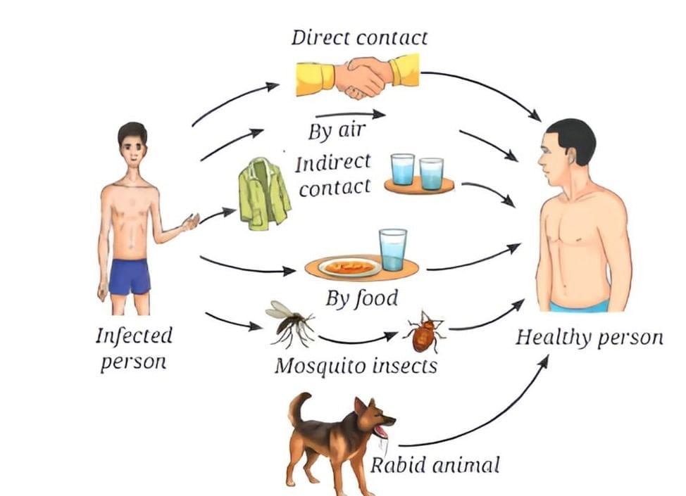 Health: The Ultimate Treasure Chapter Notes | Science Curiosity Class 8 -  New NCERT