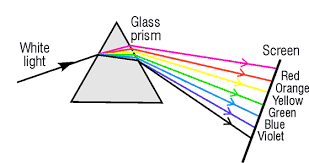 Overview: The Human Eye & the Colorful World | Science Class 10