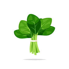 Uses of Plants - 1 Class 2 Worksheet Science