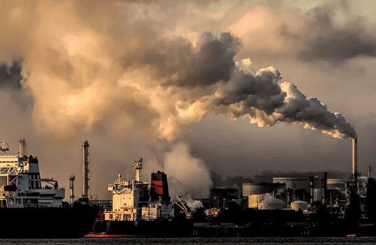 Class 4 Science - Our Environment - CBSE Worksheets Solutions - 1
