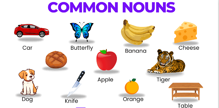 Class 10 English Grammar - Noun its Classifications Part 1