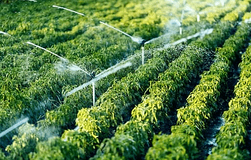 Importance of water for irrigation