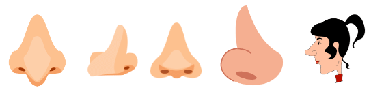 Noses Chapter Notes | English for Class 4