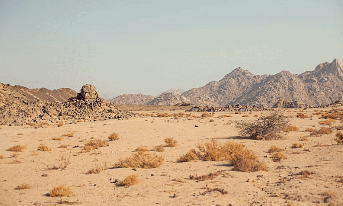 Desert