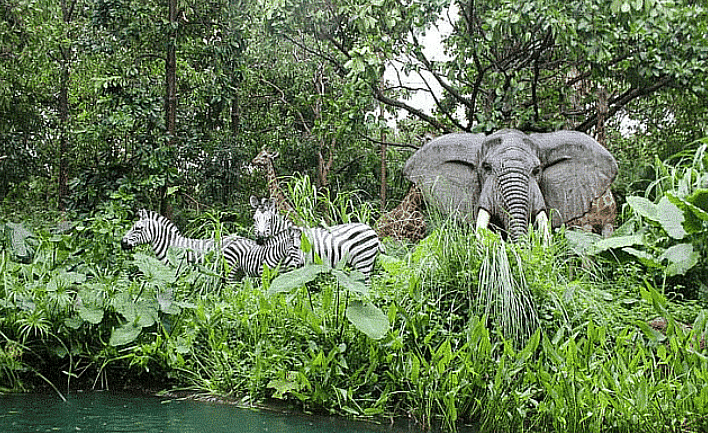Forest and Wildlife Class 4 Notes SST