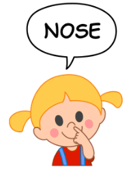 Noses Chapter Notes | English for Class 4