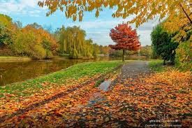 Weather and Seasons Class 3 Notes Science