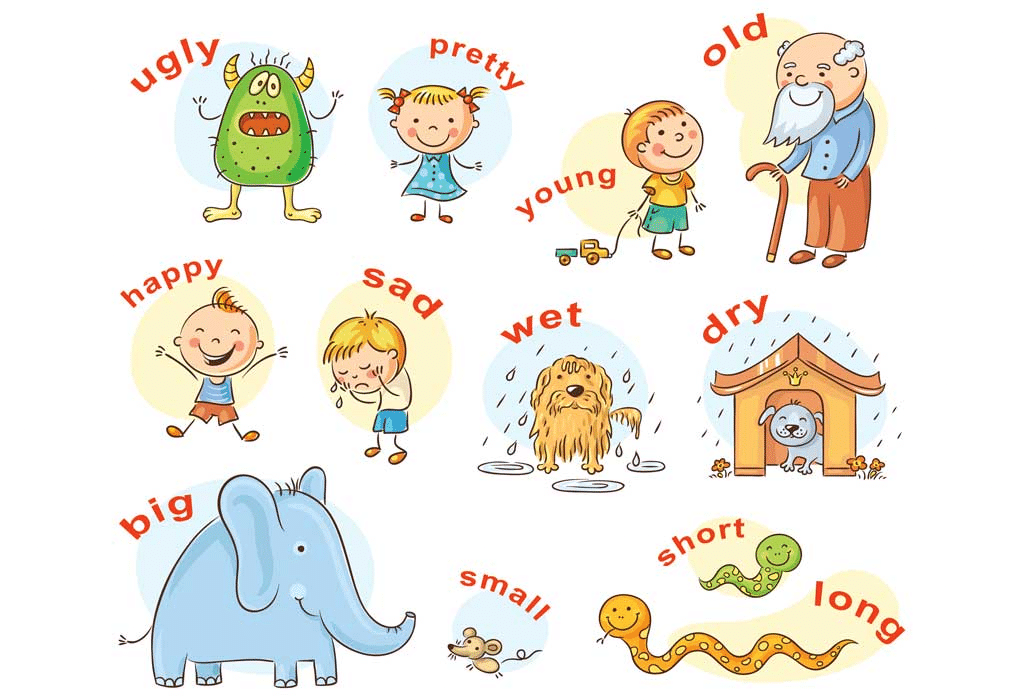 Worksheet: Adjectives - 1 | English Grammar for Junior Classes - Class 1