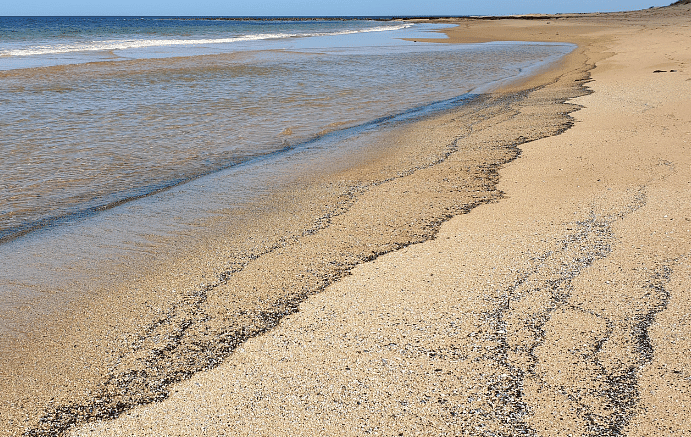 Lines forming on the beach