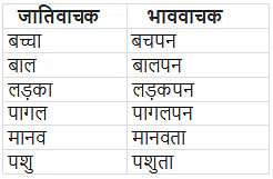 संज्ञा और संज्ञा के भेद | Hindi Class 5