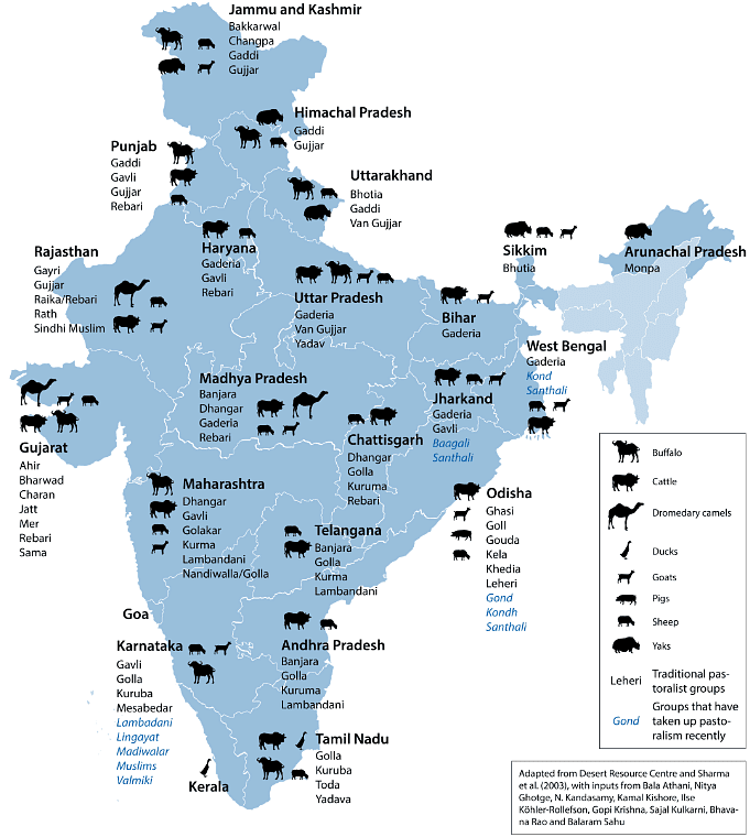 Pastoralists in India 