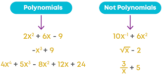 Polynomials Class 9 Notes Maths Chapter 2