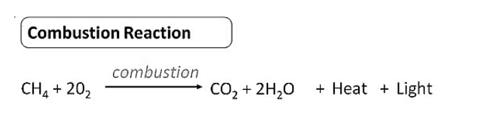 Overview: Carbon and its Compounds Part - 2 | Chemistry for SSS 1