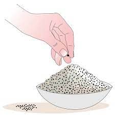 Hand-picking stones from rice