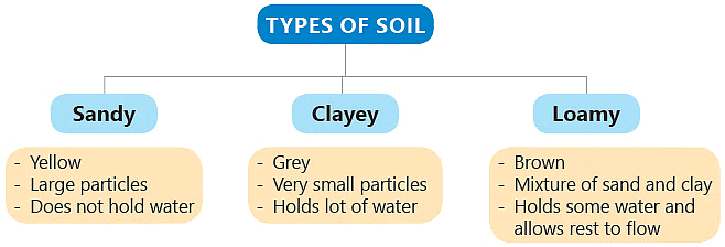 Soil Class 3 Notes Science
