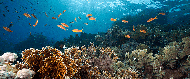 The Earth- Oceans and Continents - 1 Class 3 Worksheet SST
