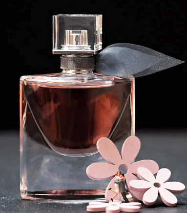 The Valley of Flowers Class 4 Notes EVS Chapter 11
