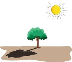 Light and Shadow - 2 Class 2 Worksheet Science