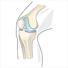 Hinge joint