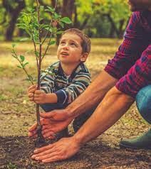 Food from Plants - 1 Class 1 Worksheet Science
