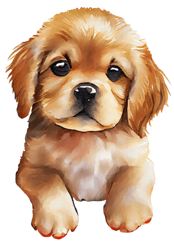 This is mikku. It is a dog.