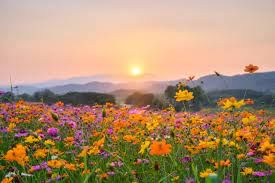 Weather and Seasons Class 3 Notes Science