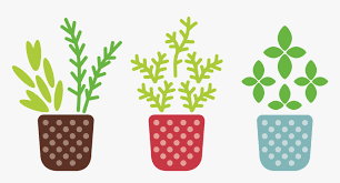 Class 2 Plants Around Us - CBSE Worksheets- 2
