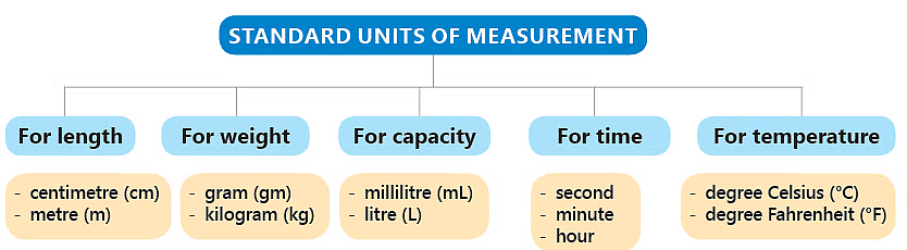 Units of Measurement