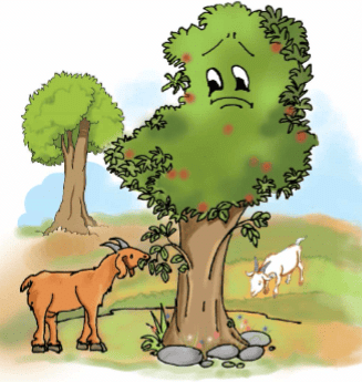The Little Fir Tree Chapter Notes | English for Class 4