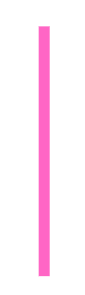 Vertical line
