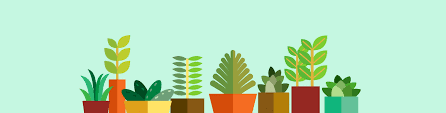 Plants Around Us - 1 Class 2 Worksheet Science