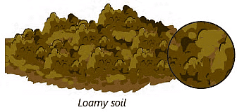 Soil Class 3 Notes Science
