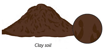 Soil Class 3 Notes Science
