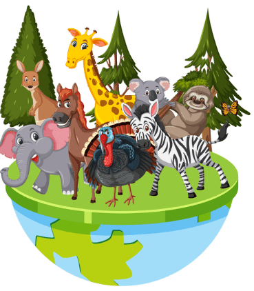 Our Environment Chapter Notes | Science Olympiad Class 4