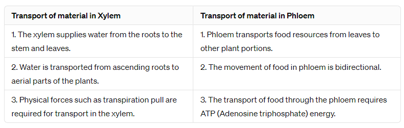 NCERT Solutions for Class 10 Science Chapter 5 - Life Processes