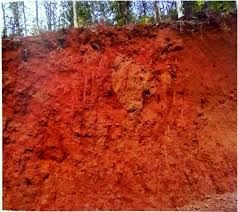 Goa: Soils | Goa State PSC (GPSC) Preparation - GPSC (Goa)